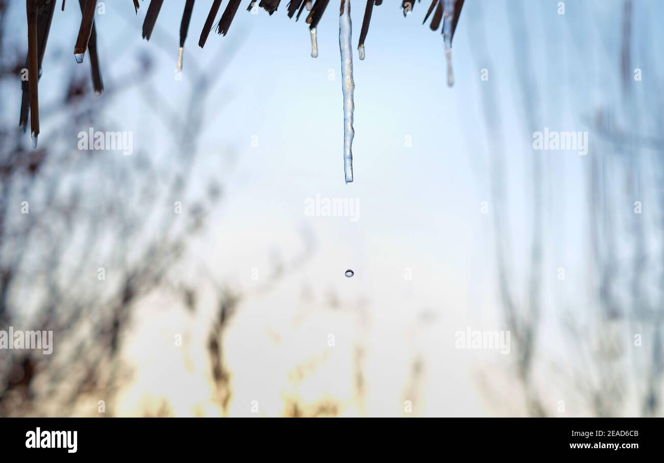 icicle melting on the blue sky background. Spring is coming Stock Photo