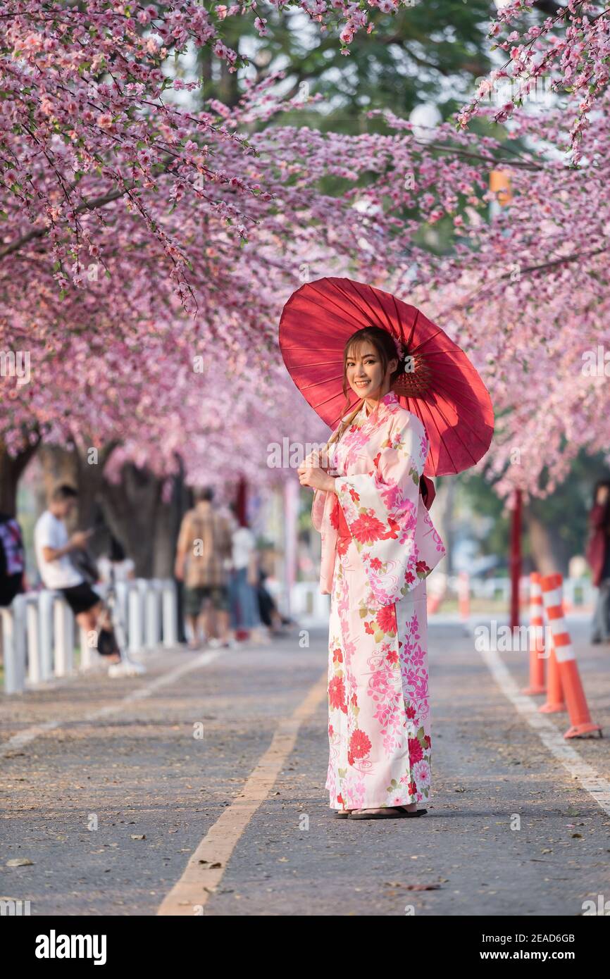 woman in yukata (kimono dress) holding umbrella and looking sakura flower  or cherry blossom blooming in the garden Stock Photo - Alamy