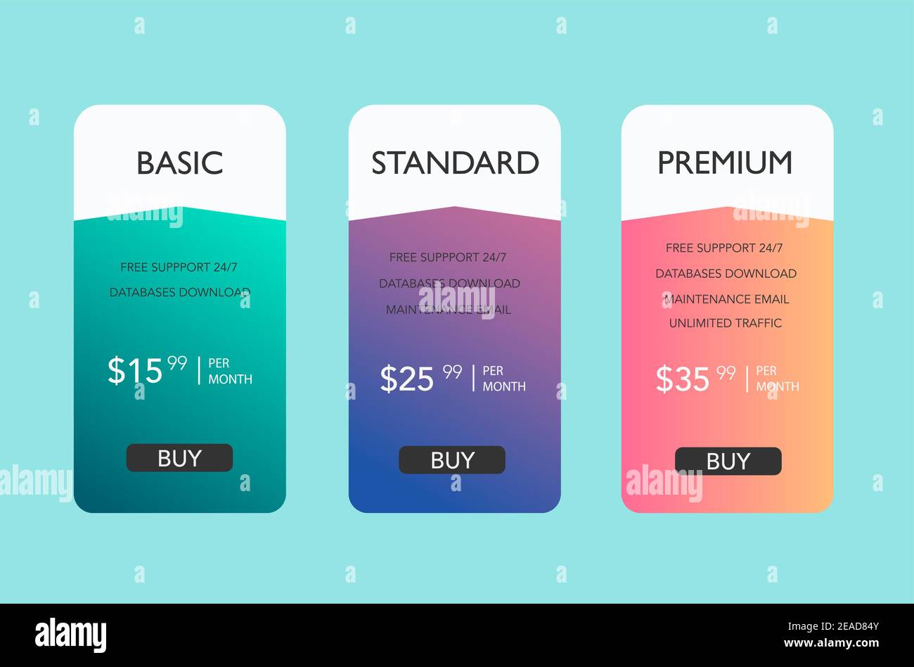 Subscription plans with account features or list of included options
