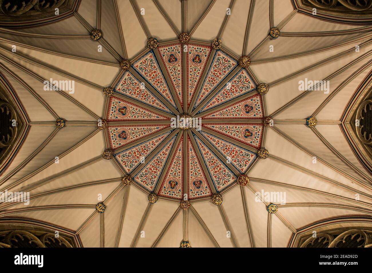 York Minster Chapter House Ceiling in York, Yorkshire, England, UK ...