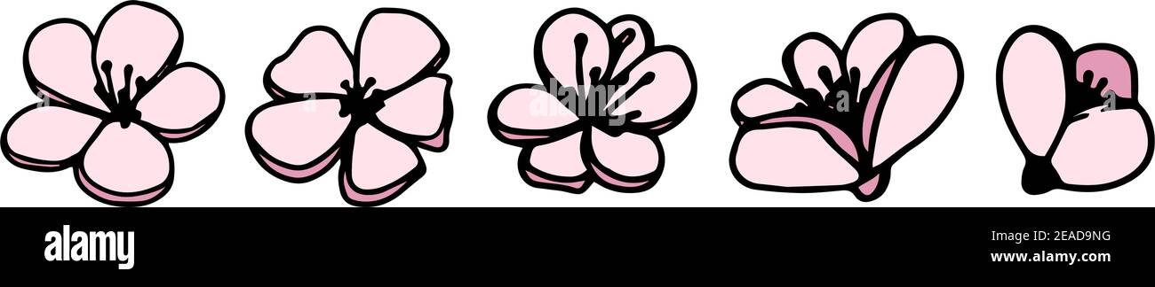 Vector set silhouettes of five hand drawn pink magnolia flowers isolated on white background. Vector illustration. Flowers spring doodle, sketch illus Stock Vector