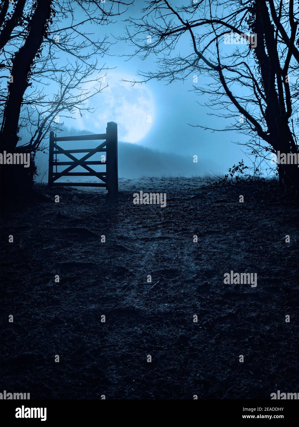 Gate in Silhouette by Moonlight. Winter atmospheric mist and fog with the Moon behind. South Downs. Stanmer Great Wood, East Sussex, UK Stock Photo