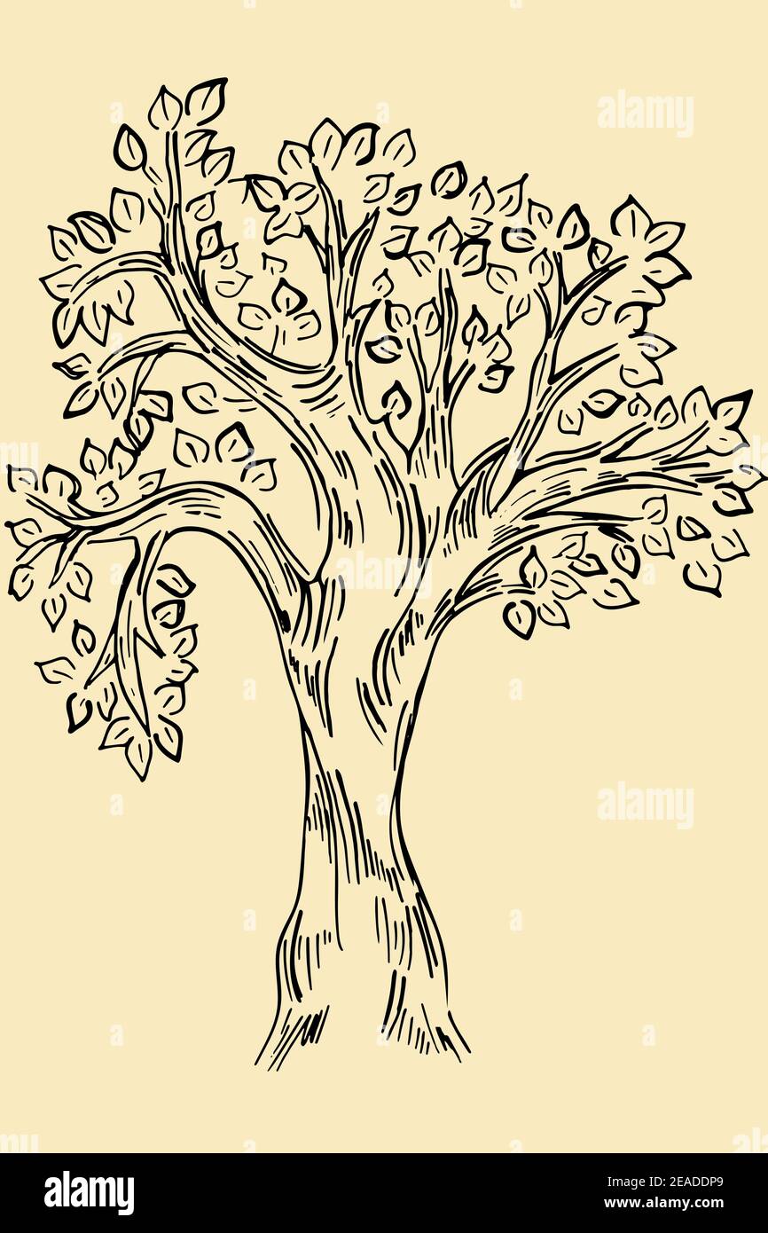 Featured image of post Very Simple Sketch Drawing Easy And Simple : On the one hand, it is believed that a single picture can speak a thousand words and induce many thoughts, but at the same time, it is also true that not everybody can draw well.