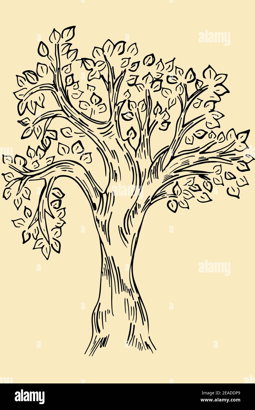 Sketch of a tree. Vector one tree on a brown background, retro style. Simple freehand drawing, isolated object. Stock Vector