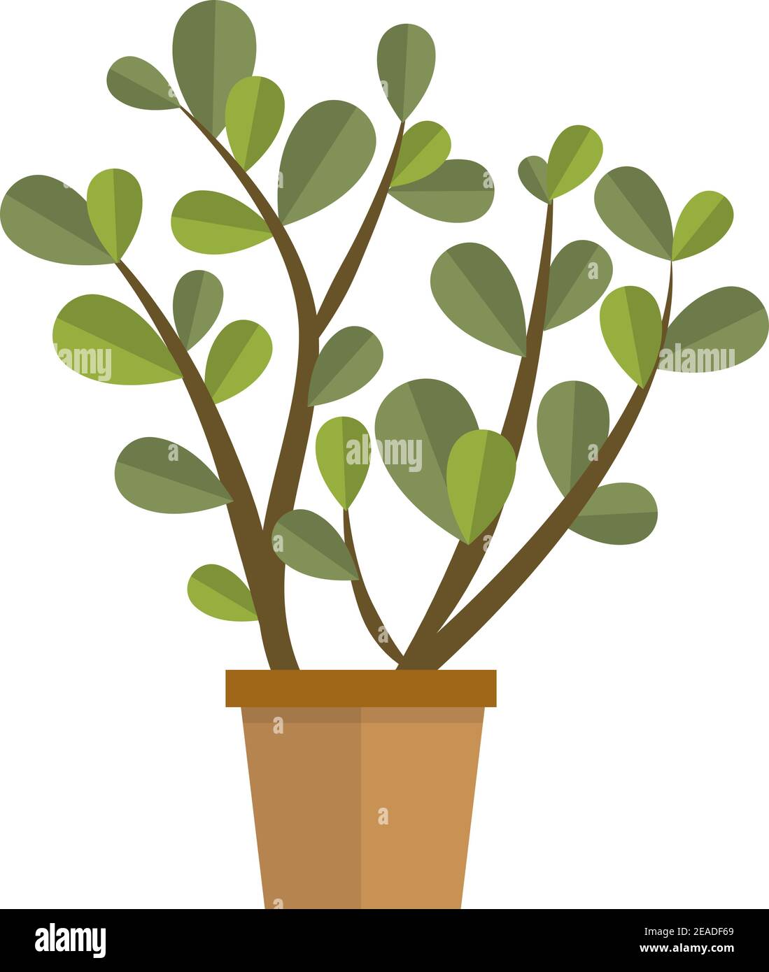 Jade plant flower in pot flat vector isolated on white Stock Vector