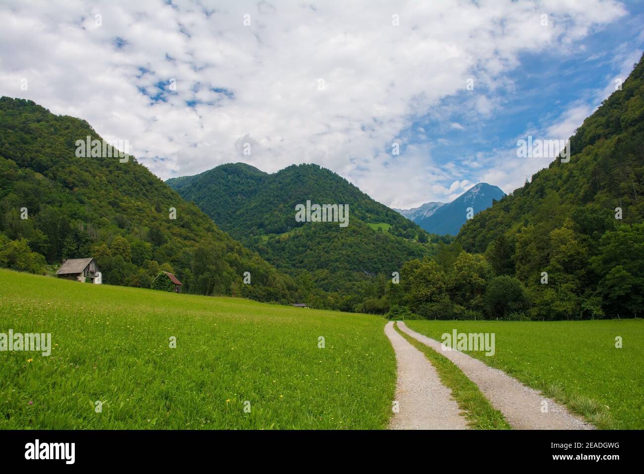 The summer landscape near the village of Zatolmin in Tolmin municipality, Primorska, Slovenia. Part of the Triglav National Park Stock Photo