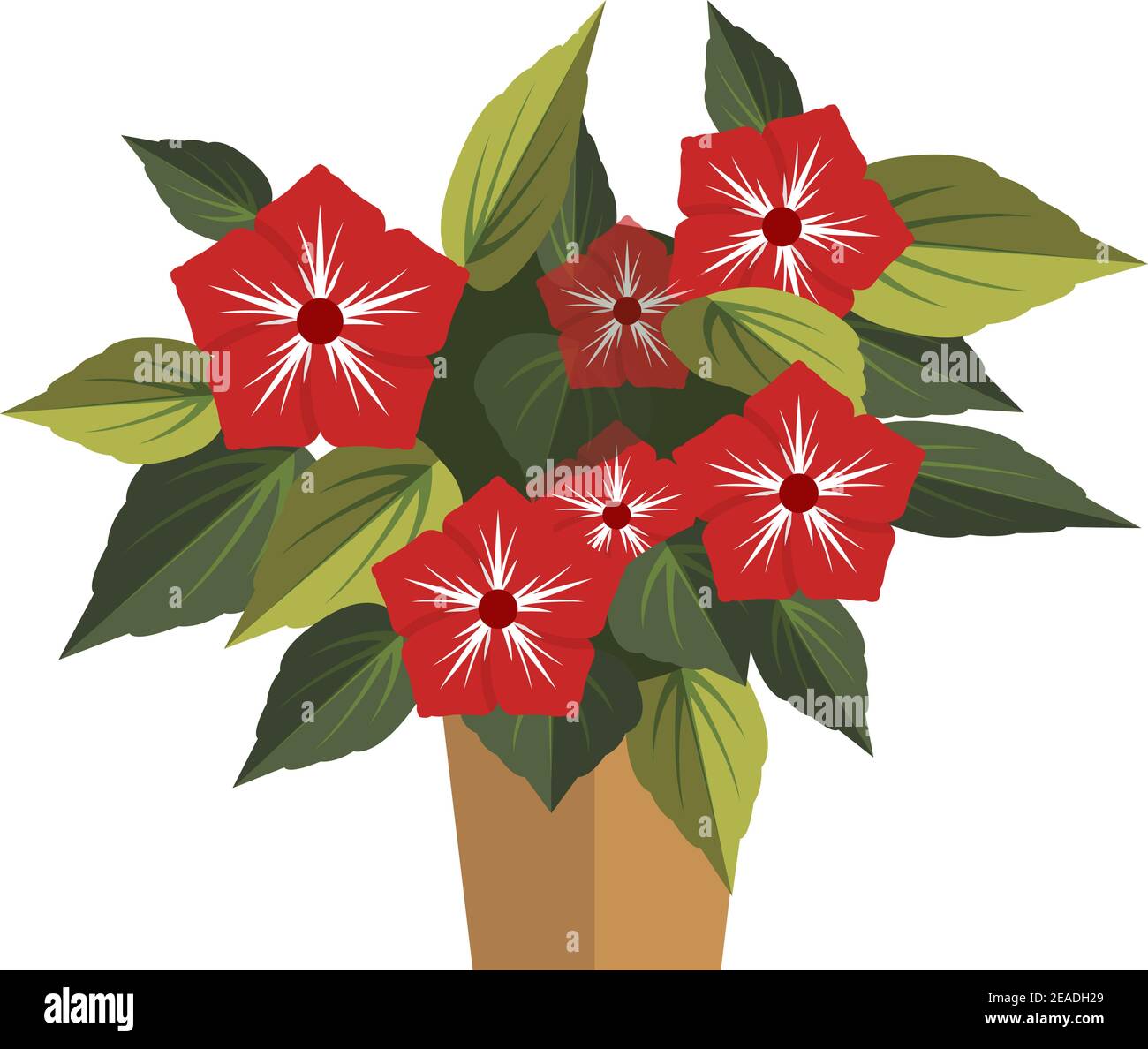 Blossom houseplant with red flower in pot isolated vector Stock Vector
