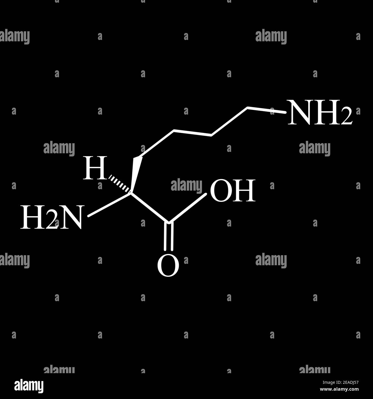 Amino acid Lysine. Chemical molecular formula Lysine is an amino acid