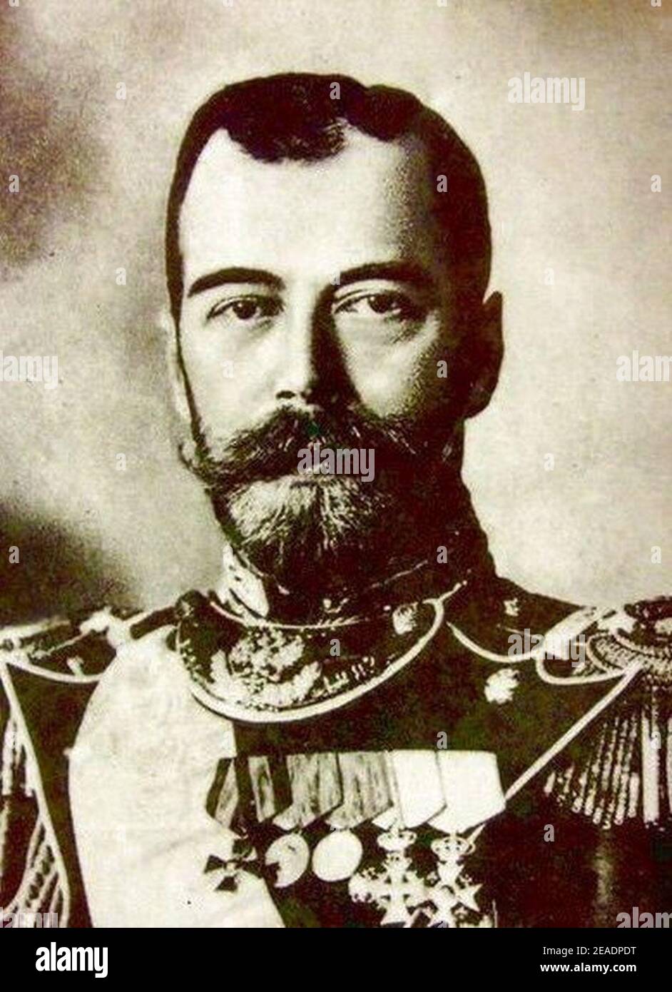 Nikolay Aleksandrovich Romanov1. Stock Photo