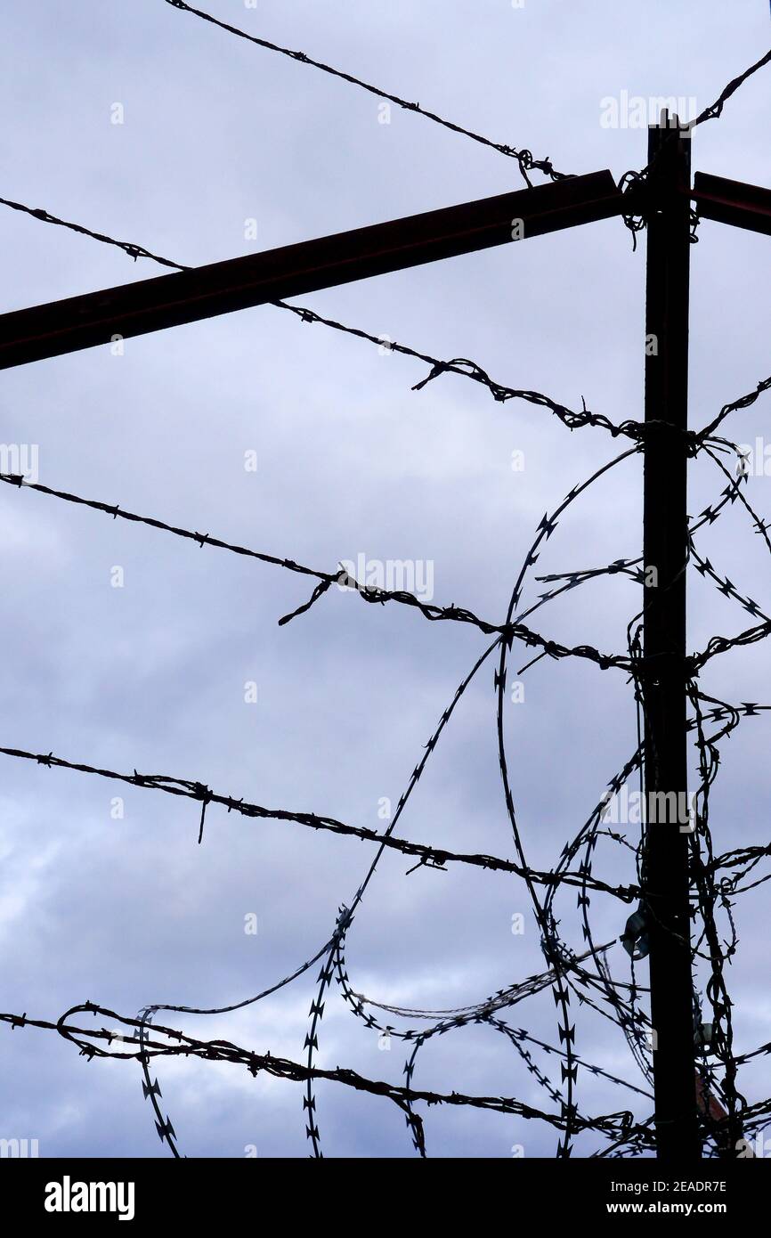 Barbed wire, France Stock Photo