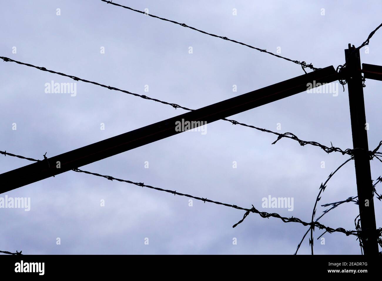 Barbed wire, France Stock Photo