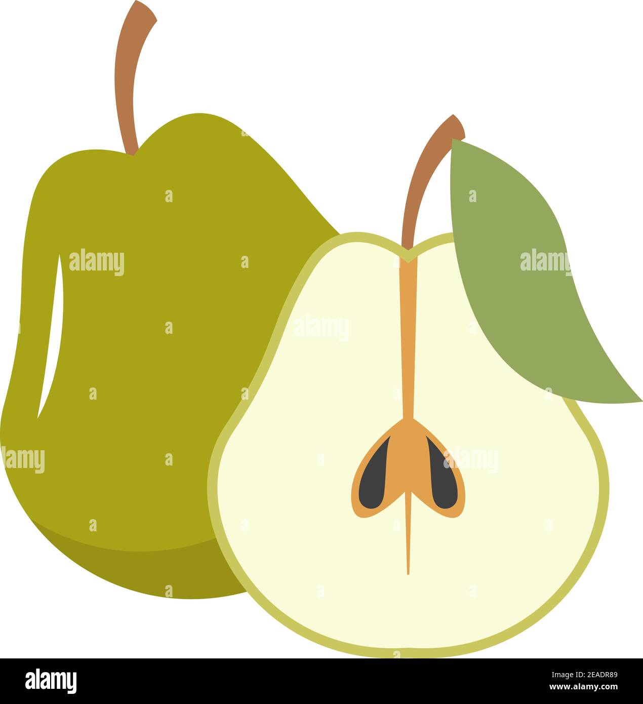 Fresh pear fruit whole and half cut flat vector Stock Vector Image ...