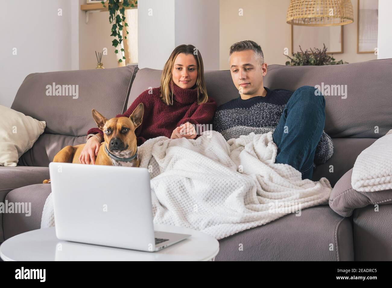 Young couple and their dog at cozy home, relaxing on the couch while watching movies on notebook. Couple life concept Stock Photo