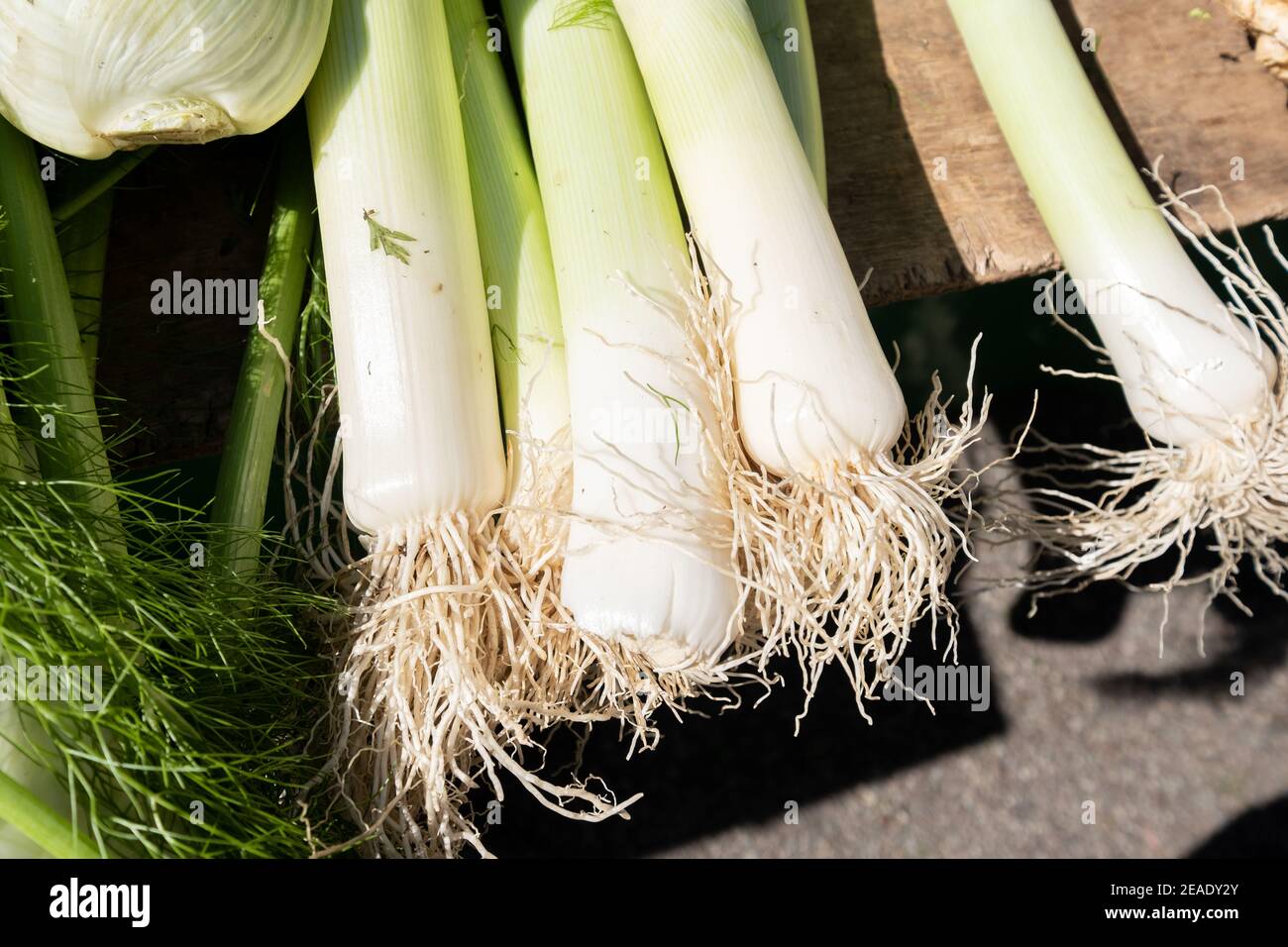 organic leeks at a small farmers market Stock Photo - Alamy