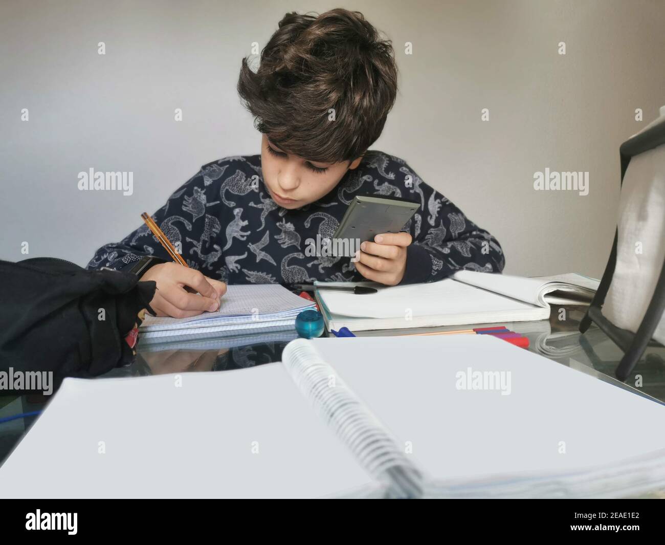 Home scene. Times of covid 19. Child applied and serious, doing homework and reading carefully Stock Photo