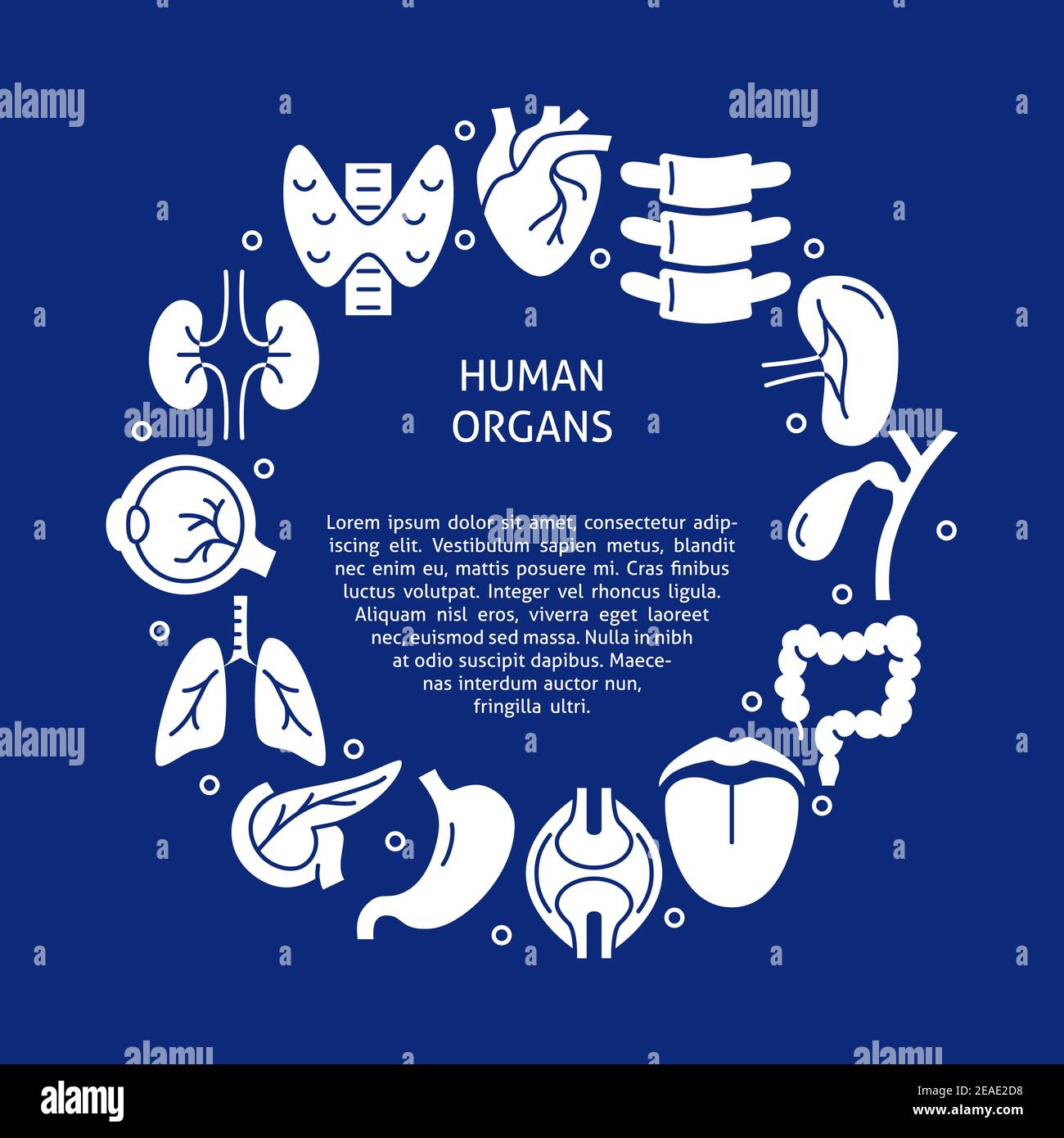 Human organs banner with round frame in flat style. Medical poster ...