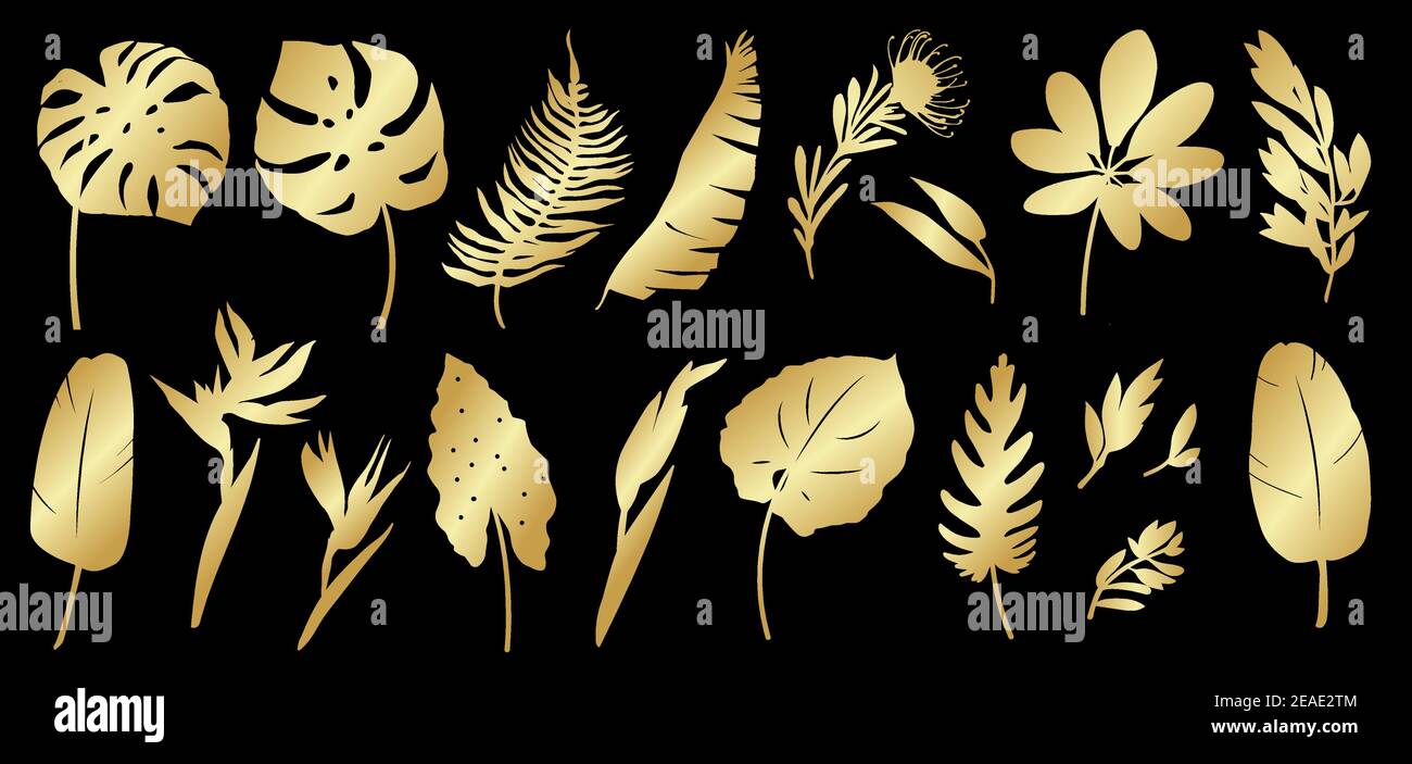 Set of golden silhouettes of tropical leaves, palms, plants, flowers, banana plants, monstera, branches. Various golden elements of botanical exotic plants. Vector illustration on black background Stock Vector