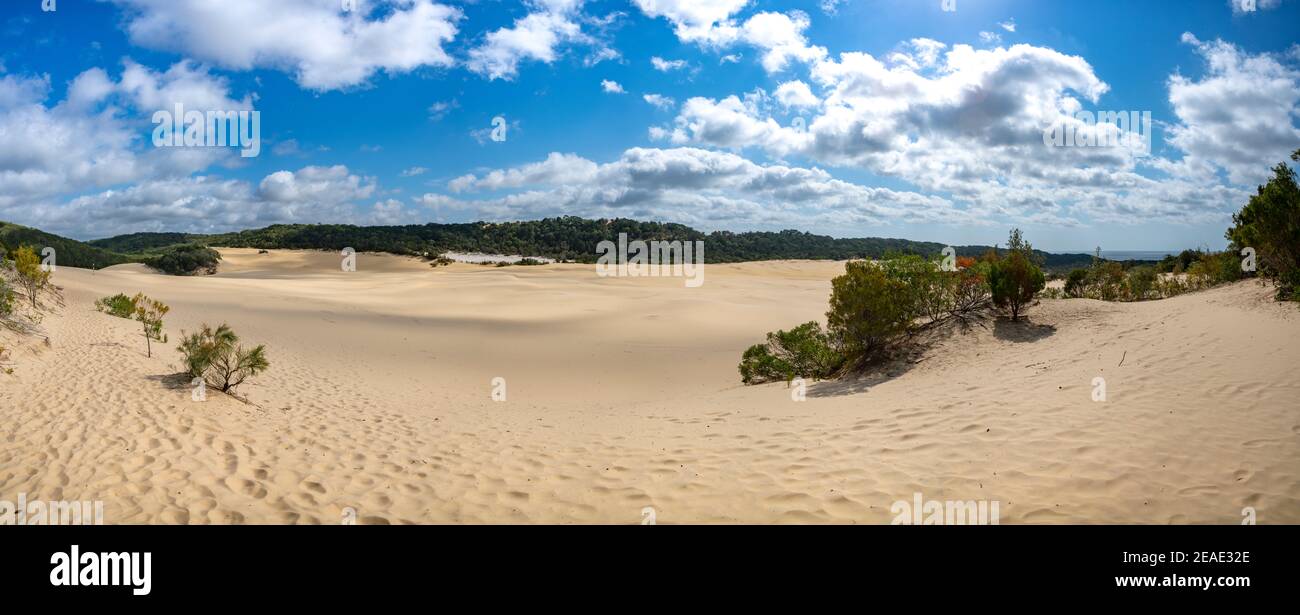 Lake Wabby and The Hammerstone Sandblow on Fraser Island Stock Photo