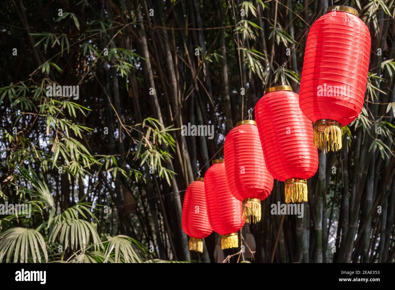 Red chinese lanterns hanging in a park with bamboos in the background ...