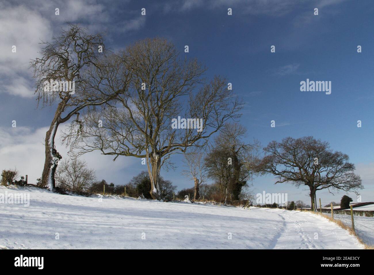 Uk Weather Sunshine And Snow In Howardian Hills North Yorkshire 9th February 21 The Beast Of The East Bringing Extremely Cold Weather To The North Of England Snow And Blue Skies Inbetween Outbreaks Of