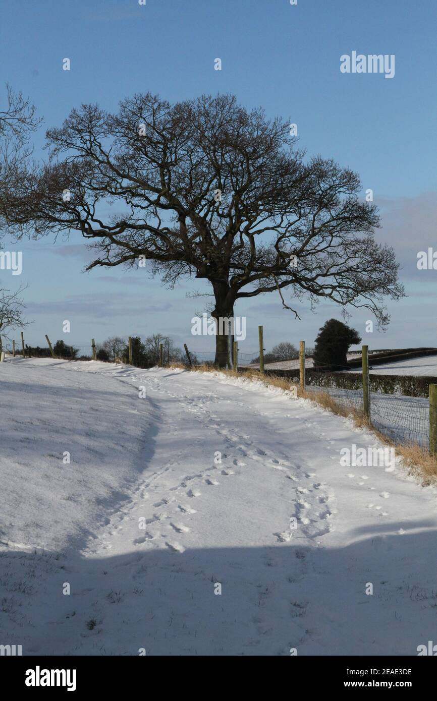 Uk Weather Sunshine And Snow In Howardian Hills North Yorkshire 9th February 21 The Beast Of The East Bringing Extremely Cold Weather To The North Of England Snow And Blue Skies Inbetween Outbreaks Of