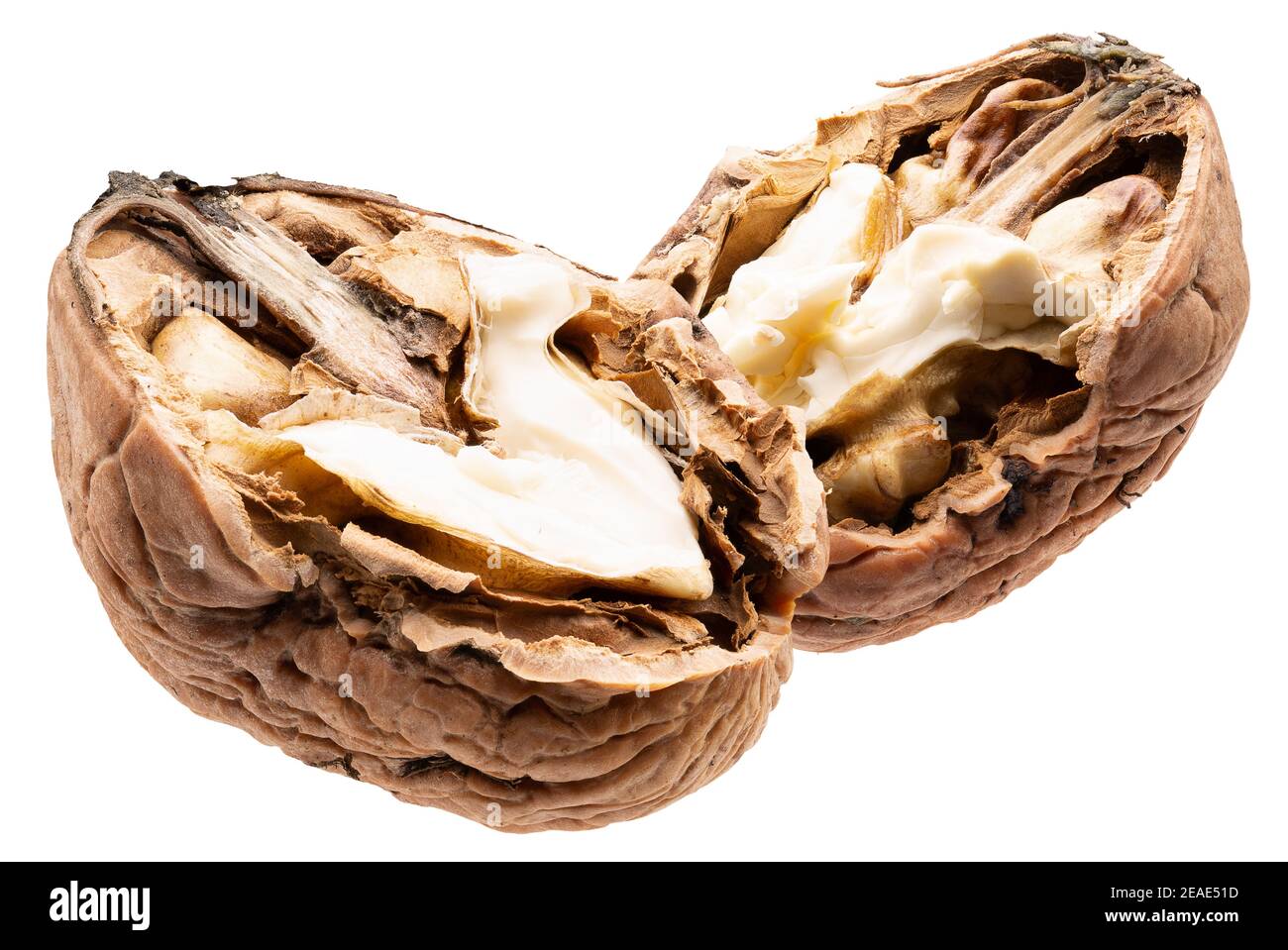 halves of walnut isolated on a white background. Stock Photo