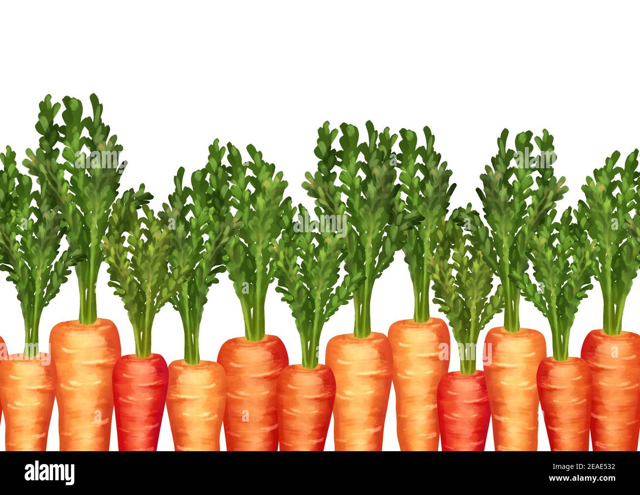 Seamless pattern of carrots. Decorative border. Easter design Stock