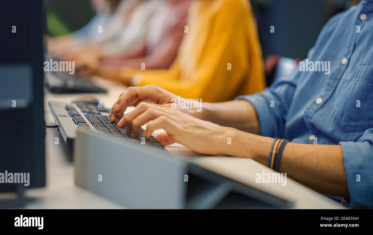Row of Diverse Group of Multi-Ethnic People Works on PC. Office Team of ...