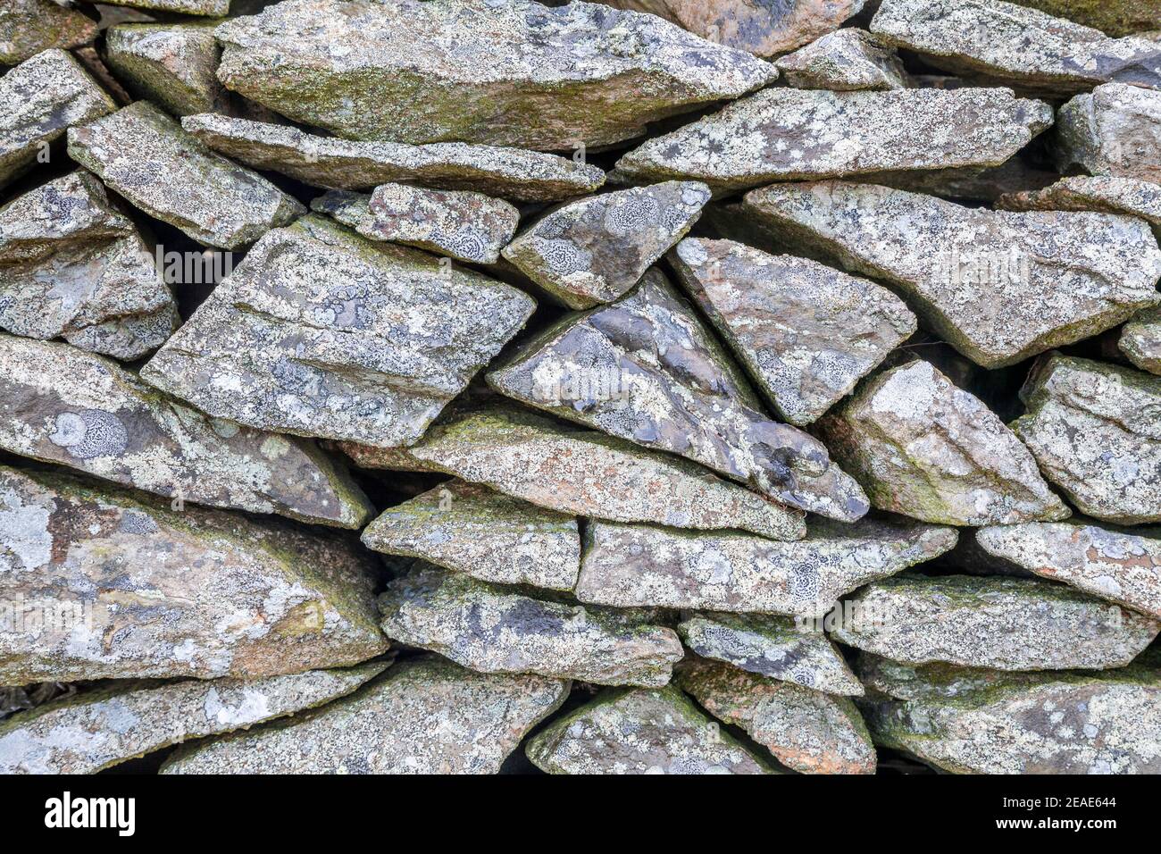 Slate drystone wall with lichen Stock Photo