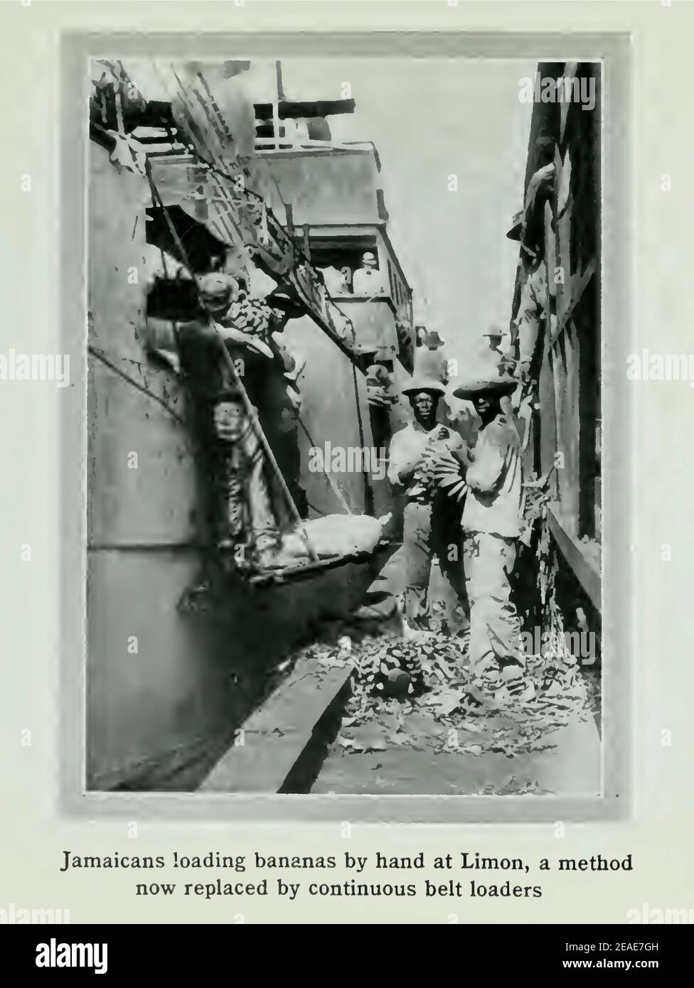Vintage photograph from1912 with the caption Jamaicans loading bananas by hand at Limon. Stock Photo