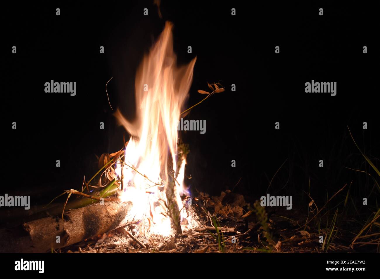 Campfire at night Stock Photo - Alamy