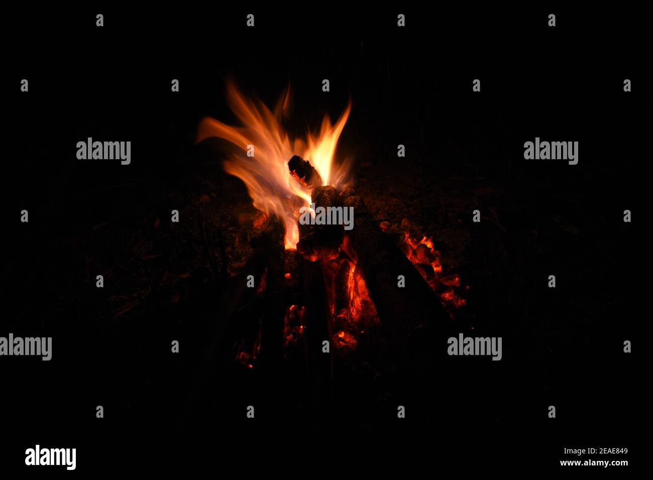 Campfire at night Stock Photo - Alamy