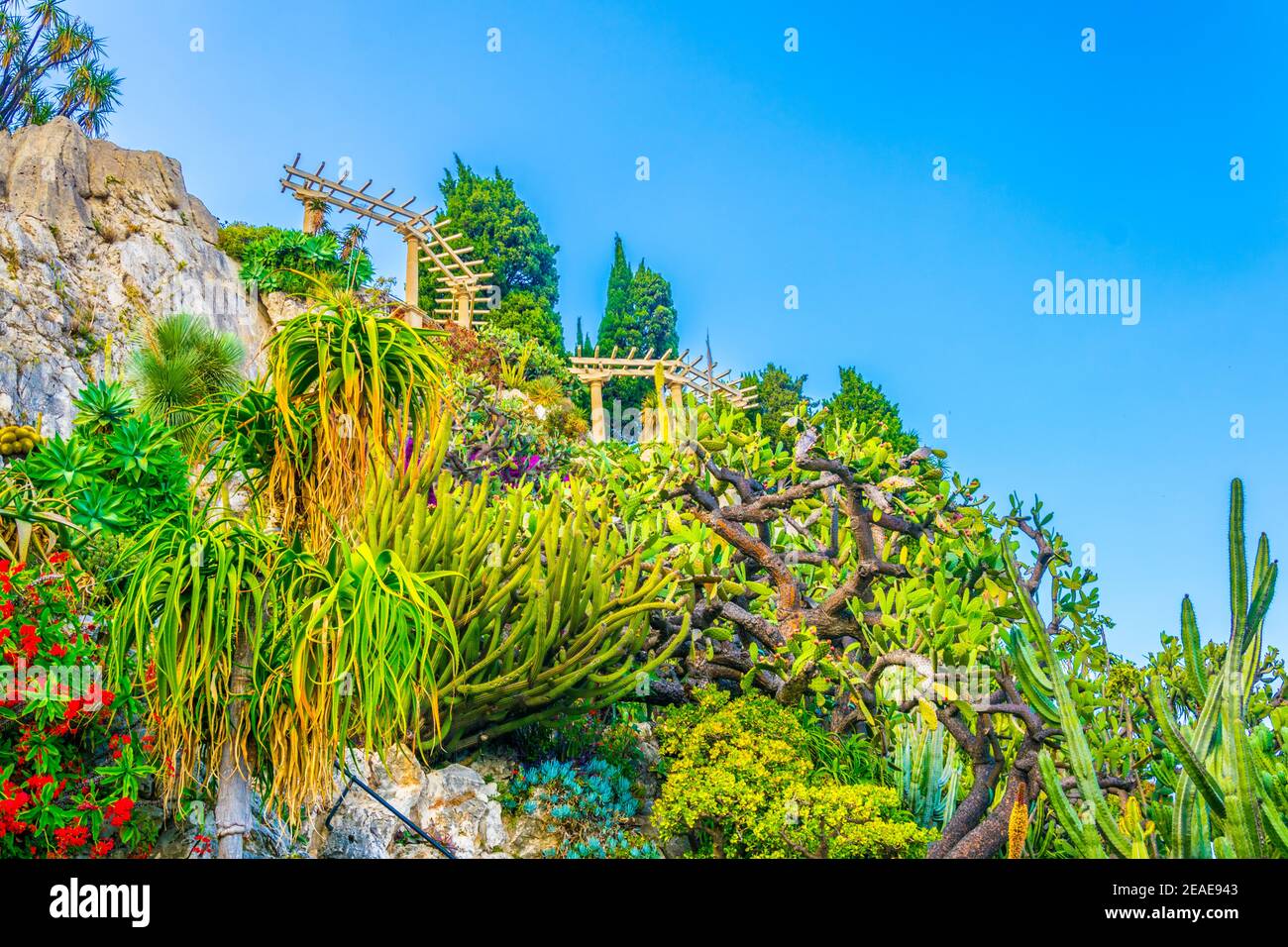 Jardin Exotique garden in Monaco Stock Photo - Alamy