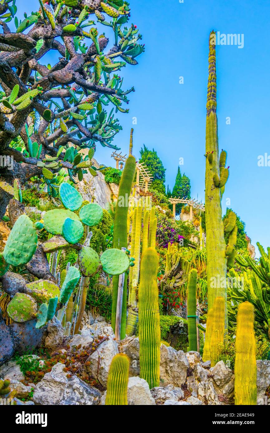 Jardin Exotique garden in Monaco Stock Photo - Alamy