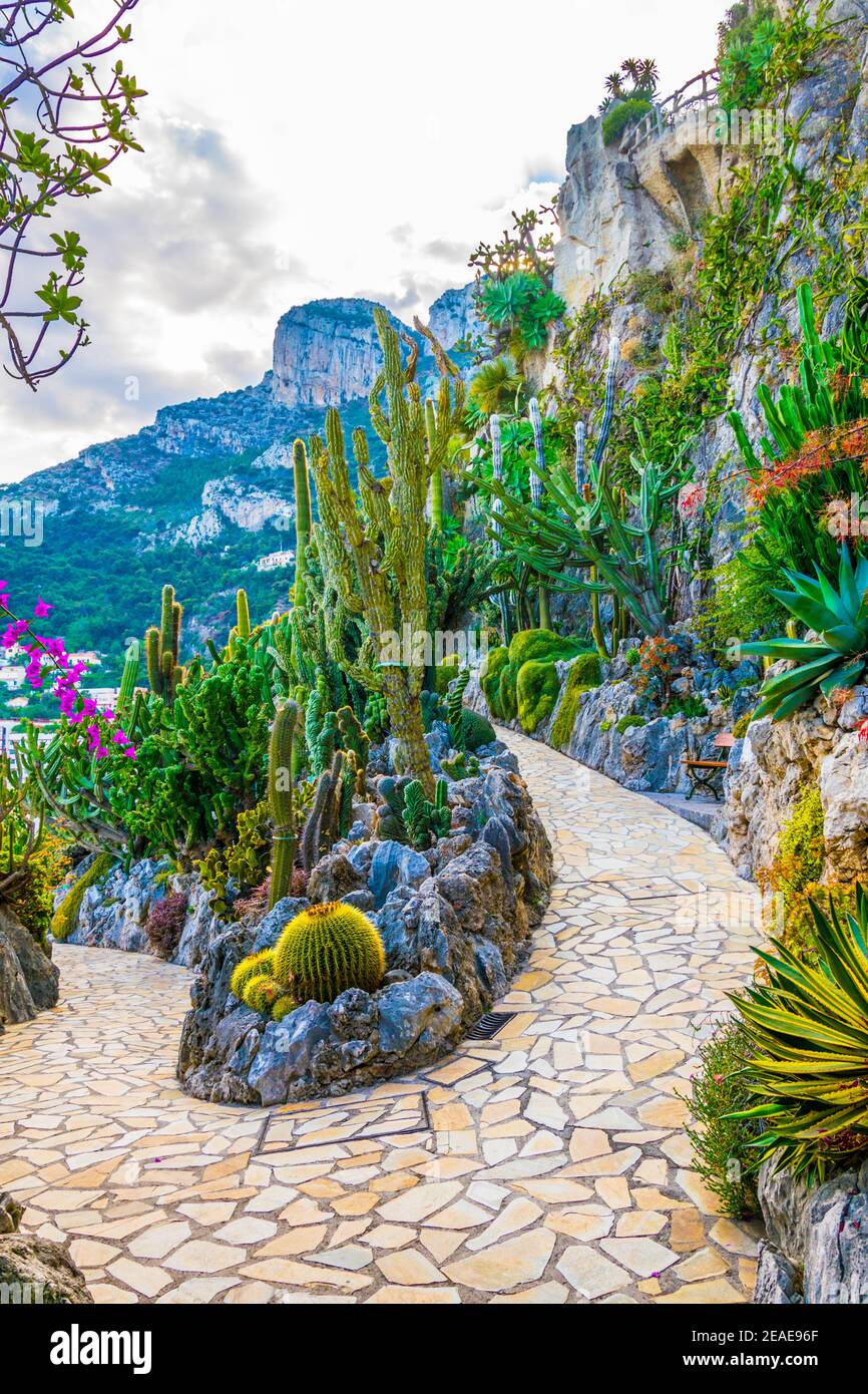 joue du piano calculer Considérer un jardin exotique la Coupe de