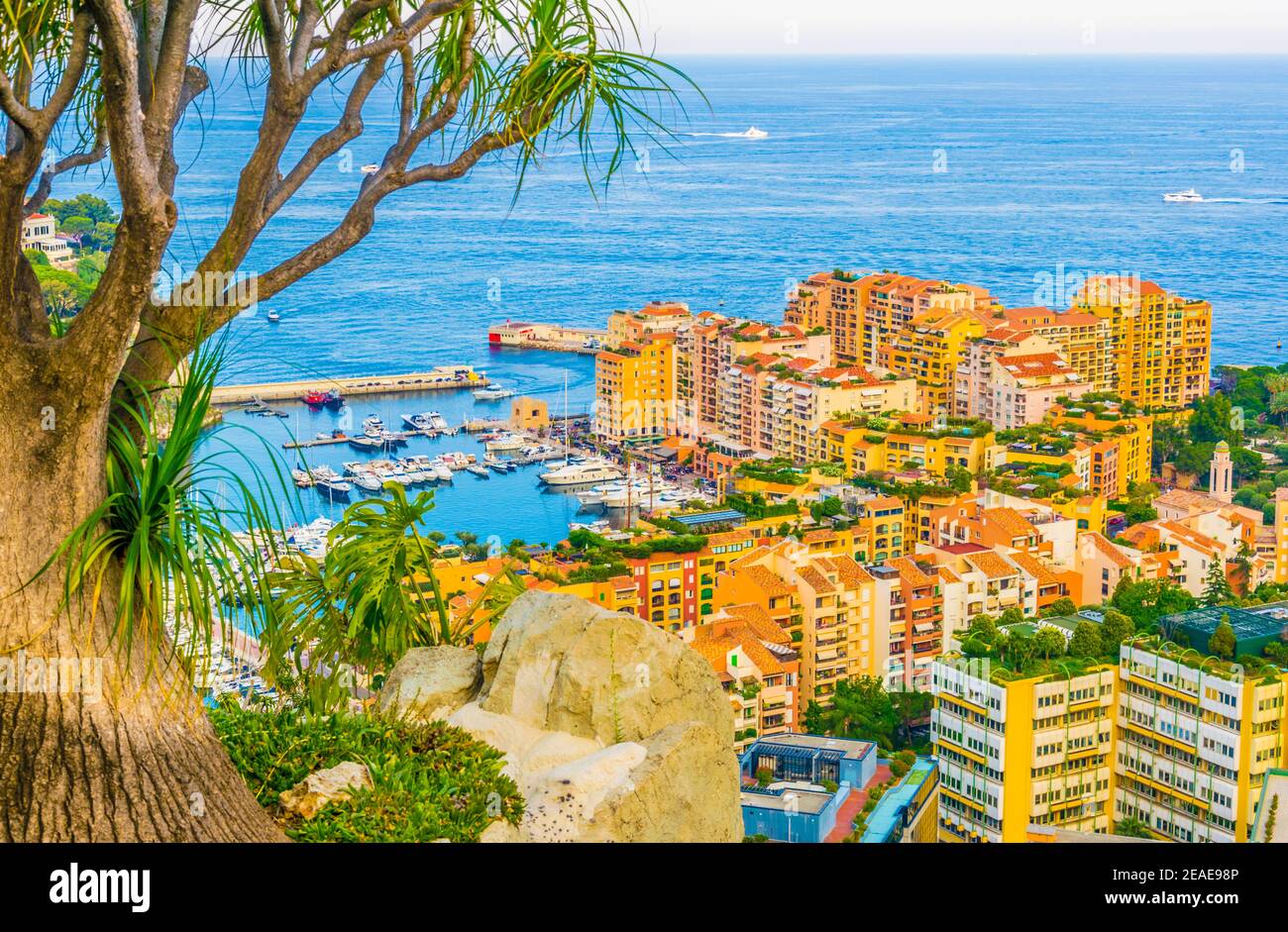 Port de Fontvieille in Monaco viewed from jardin exotique botanical garden  Stock Photo - Alamy