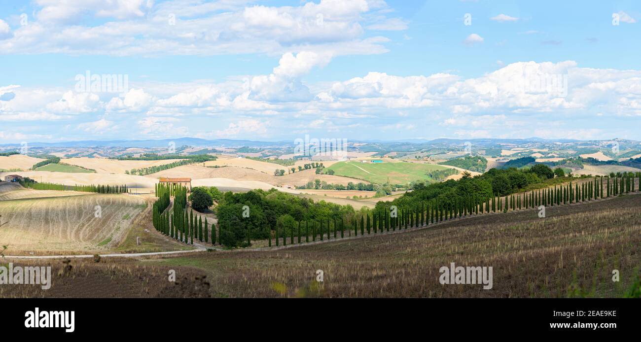 Typical Tuscany landscape in summer, with cultivated fields and wine yards, cypress trees and old farm buildings in a hill and valley landscape, near Stock Photo