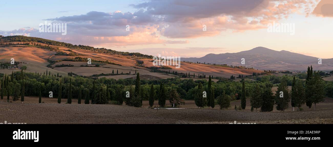 Typical Tuscany landscape in summer at sunset, with cultivated fields and wine yards, cypress trees and old farm buildings in a hill and valley landsc Stock Photo