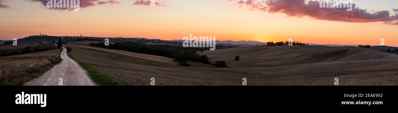 Typical Tuscany landscape in summer at sunset, with cultivated fields and wine yards, cypress trees and old farm buildings in a hill and valley landsc Stock Photo