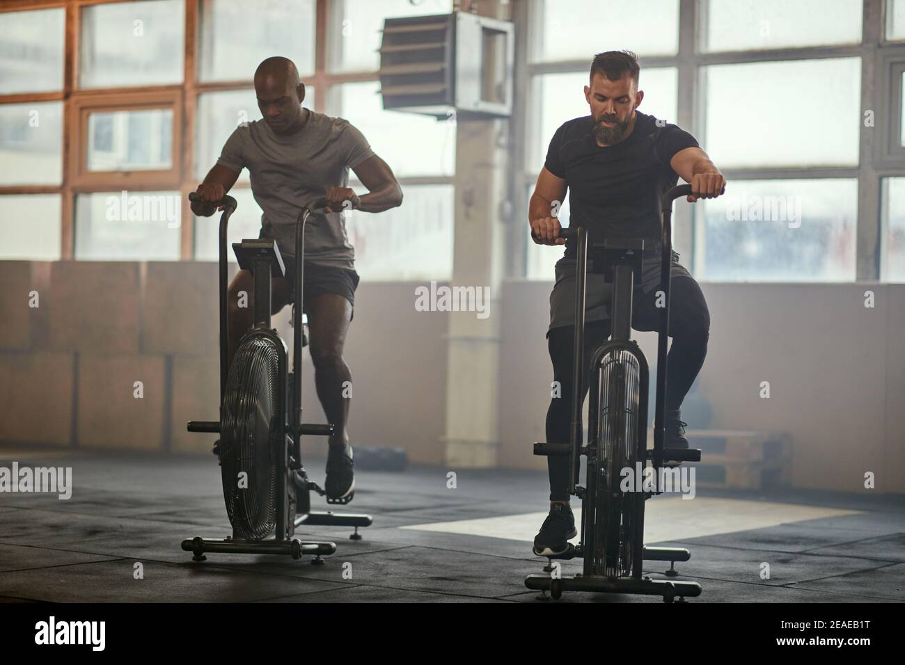 Two fit young men training on stationary bikes together during a cardio workout session at the gym Stock Photo