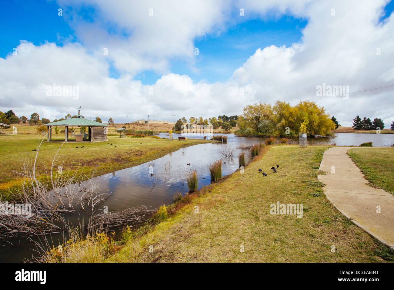 Nimmitabel Map Historic Nimmitabel NSW Australia Stock Photo - Alamy