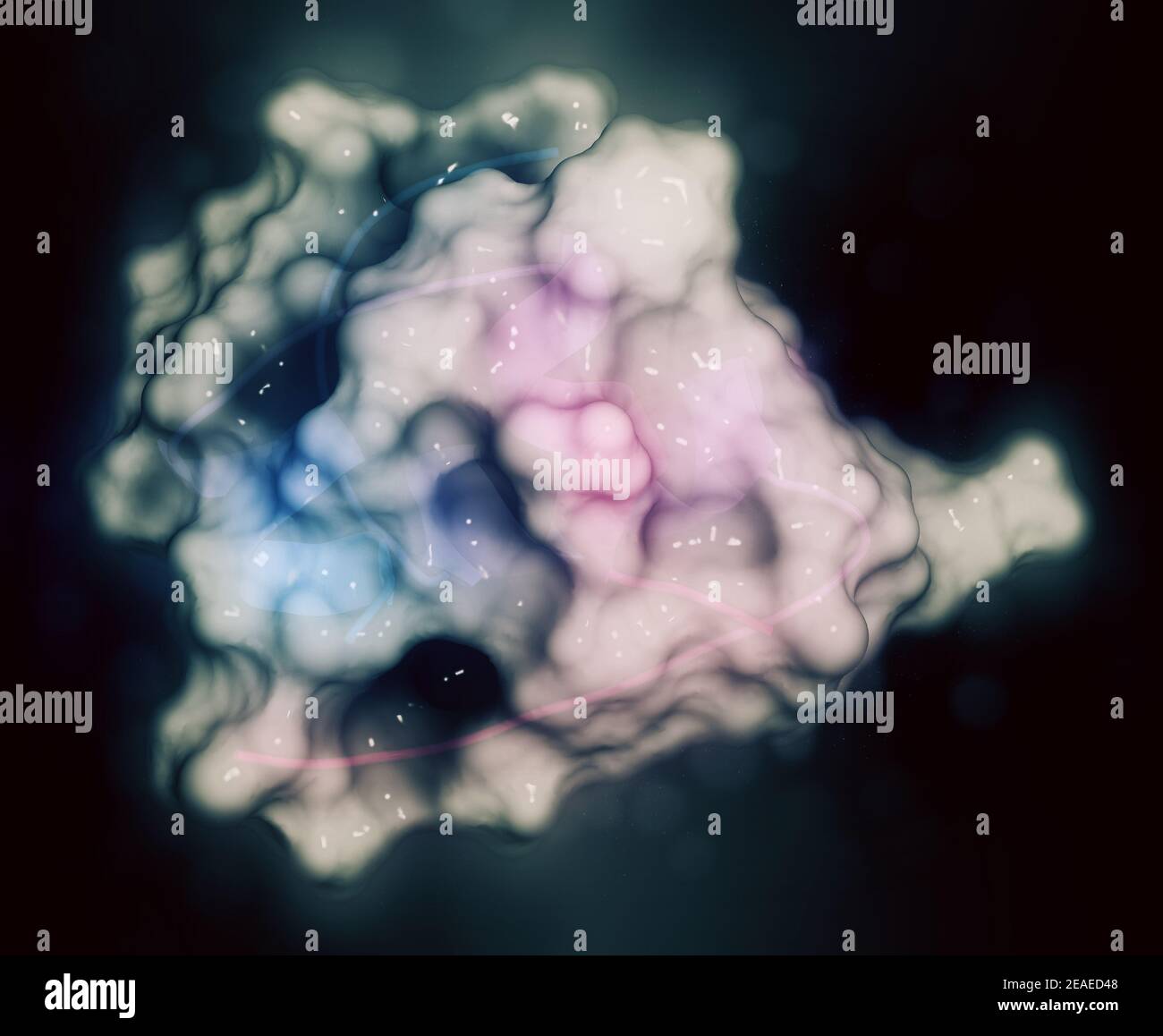 Insulin peptide hormone. Important drug in treatment of diabetes. 3D rendering based on protein data bank entry 1trz. Stylized combination of a semi-t Stock Photo