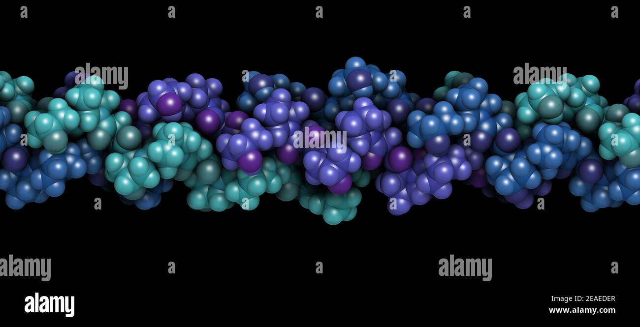 Collagen model protein, chemical structure. Essential component of skin, bone, hair, connective