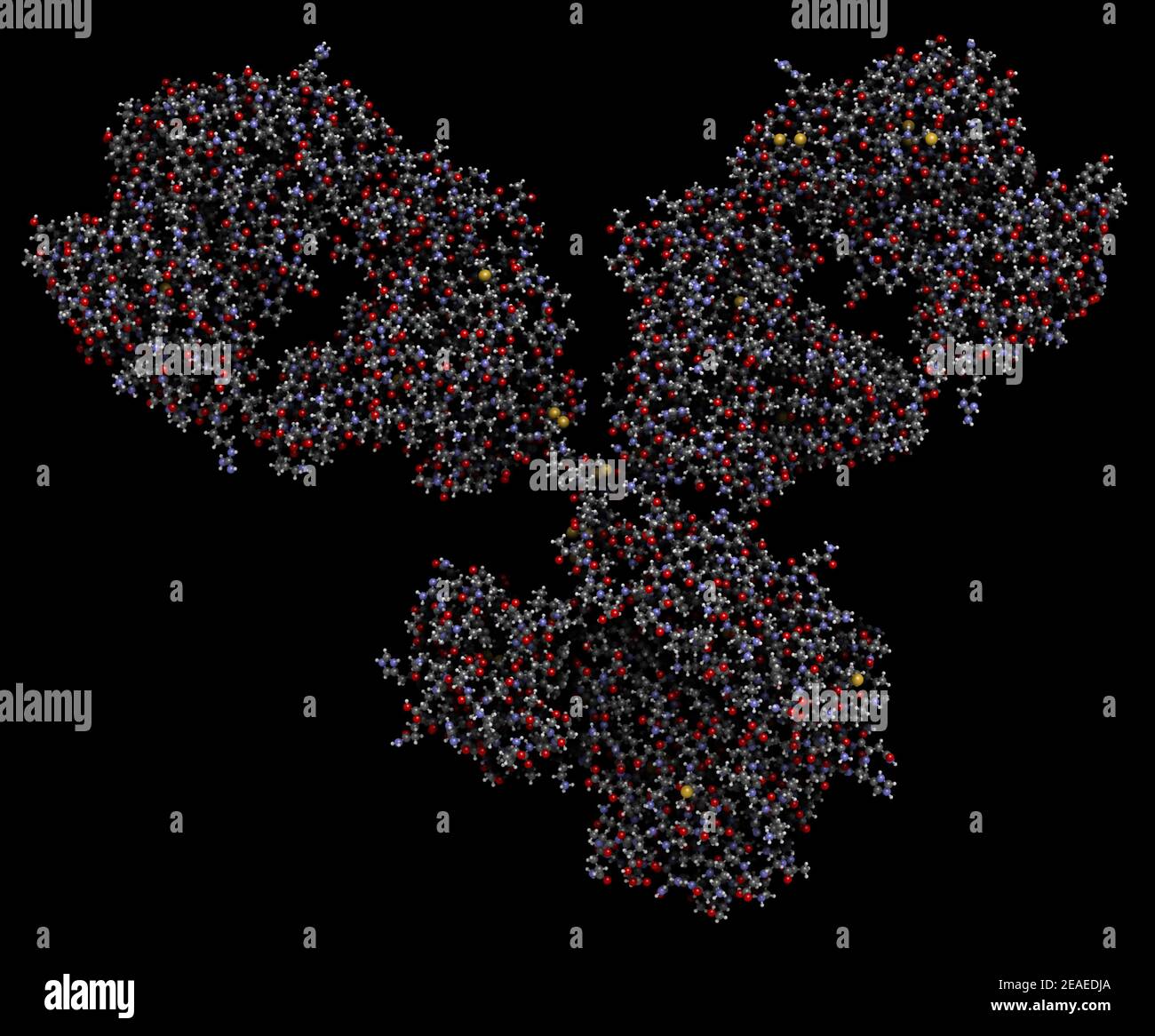 Monoclonal antibodies protein hi-res stock photography and images - Alamy