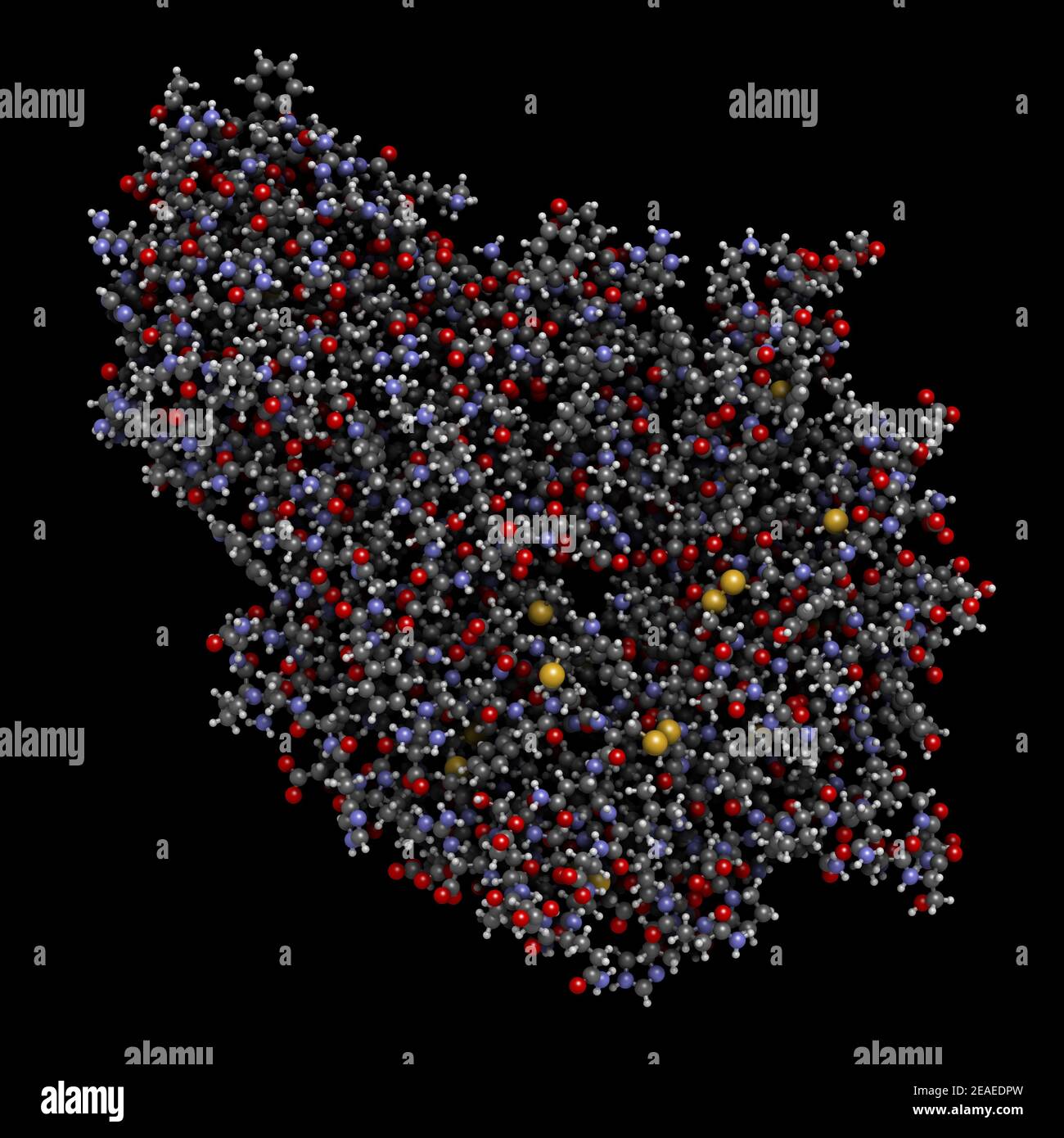 Alphagalactosidase (Agalsidase) enzyme. Cause of Fabry's disease