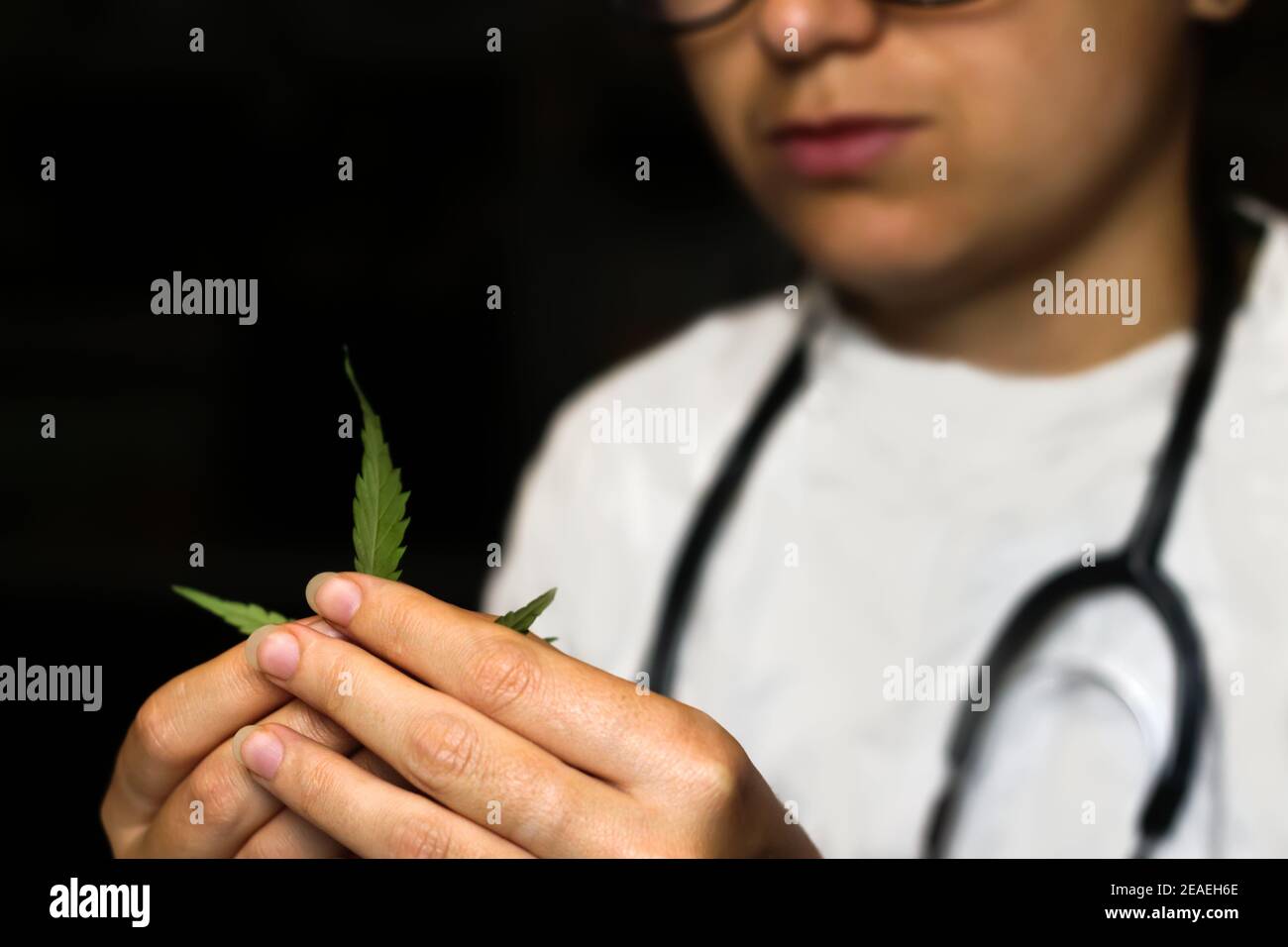 Medical marijuana plant. Scientist or doctor in white lab coat holding