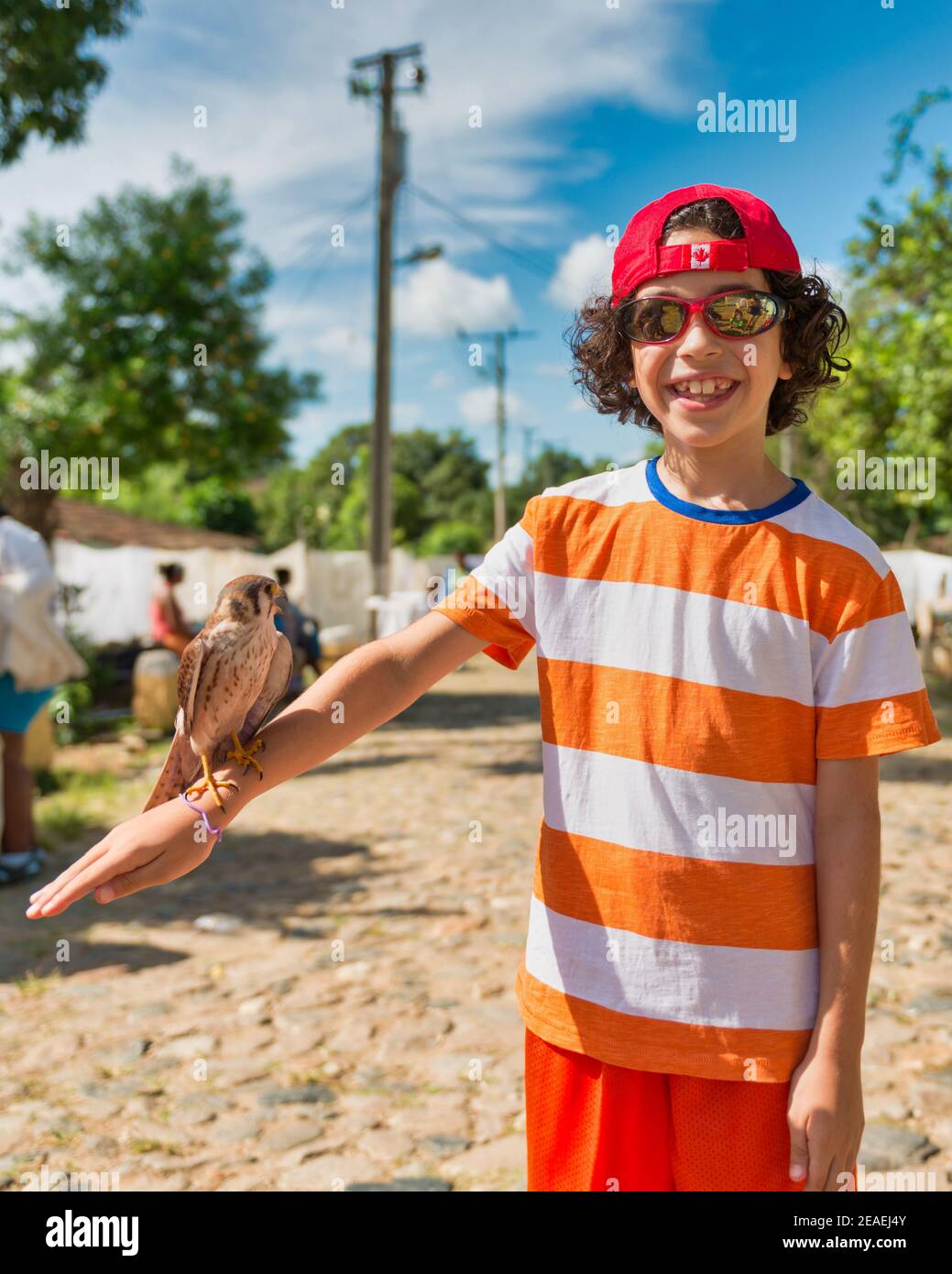 Canadian tourist child playing with a kestrel bird, Trinidad, Cuba Stock Photo