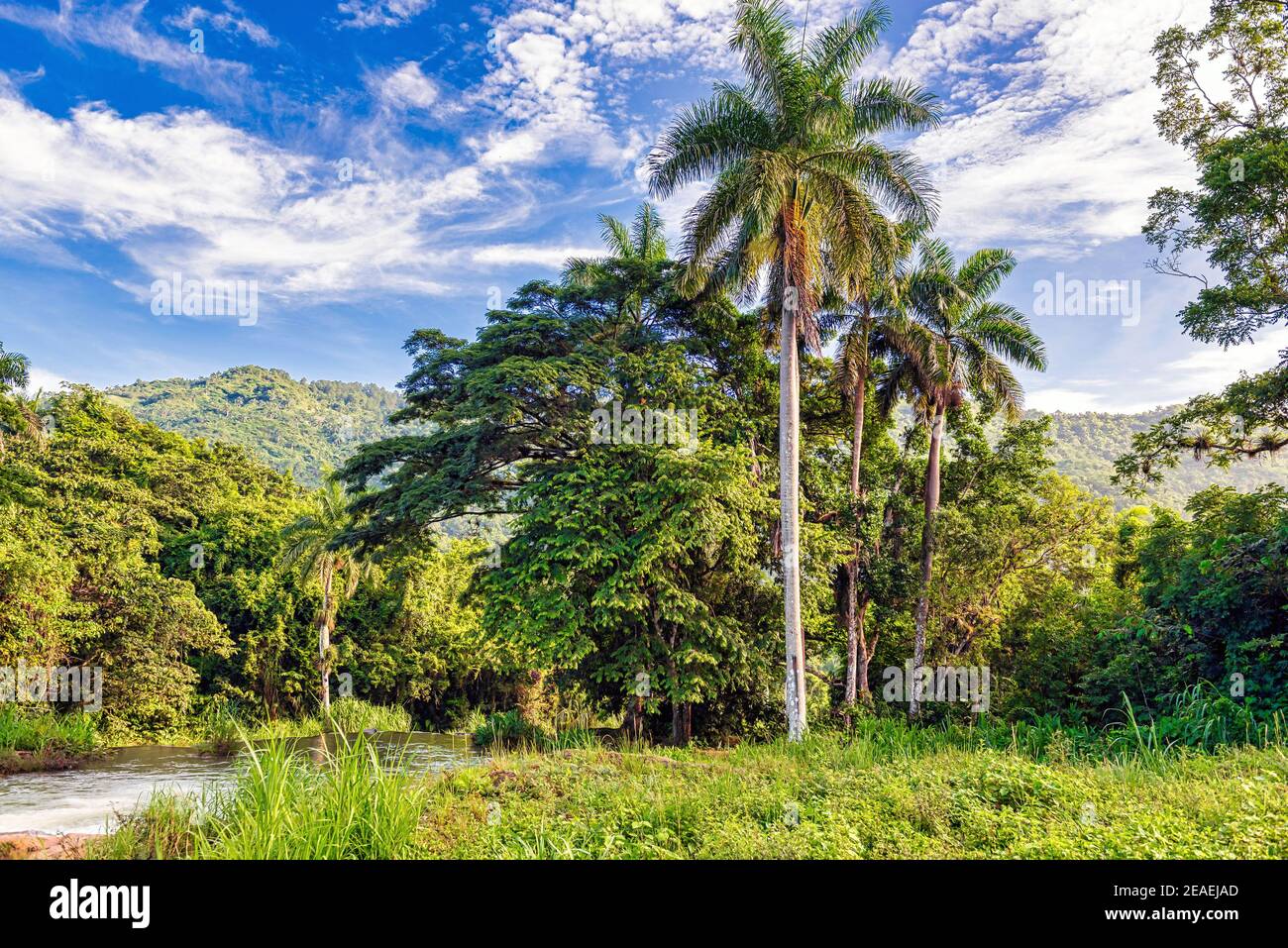 Beautiful countryside in a tropical country during summertime, exuberant green vegetation, and amazing blue clear sky Stock Photo