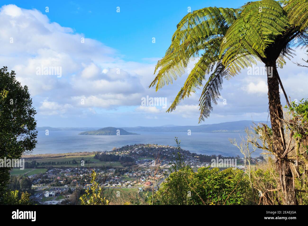 View of Rotorua, New Zealand, from Mount Ngongotaha. In the foreground are the suburbs of Fairy Springs and Kawaha Point, with Lake Rotorua behind Stock Photo