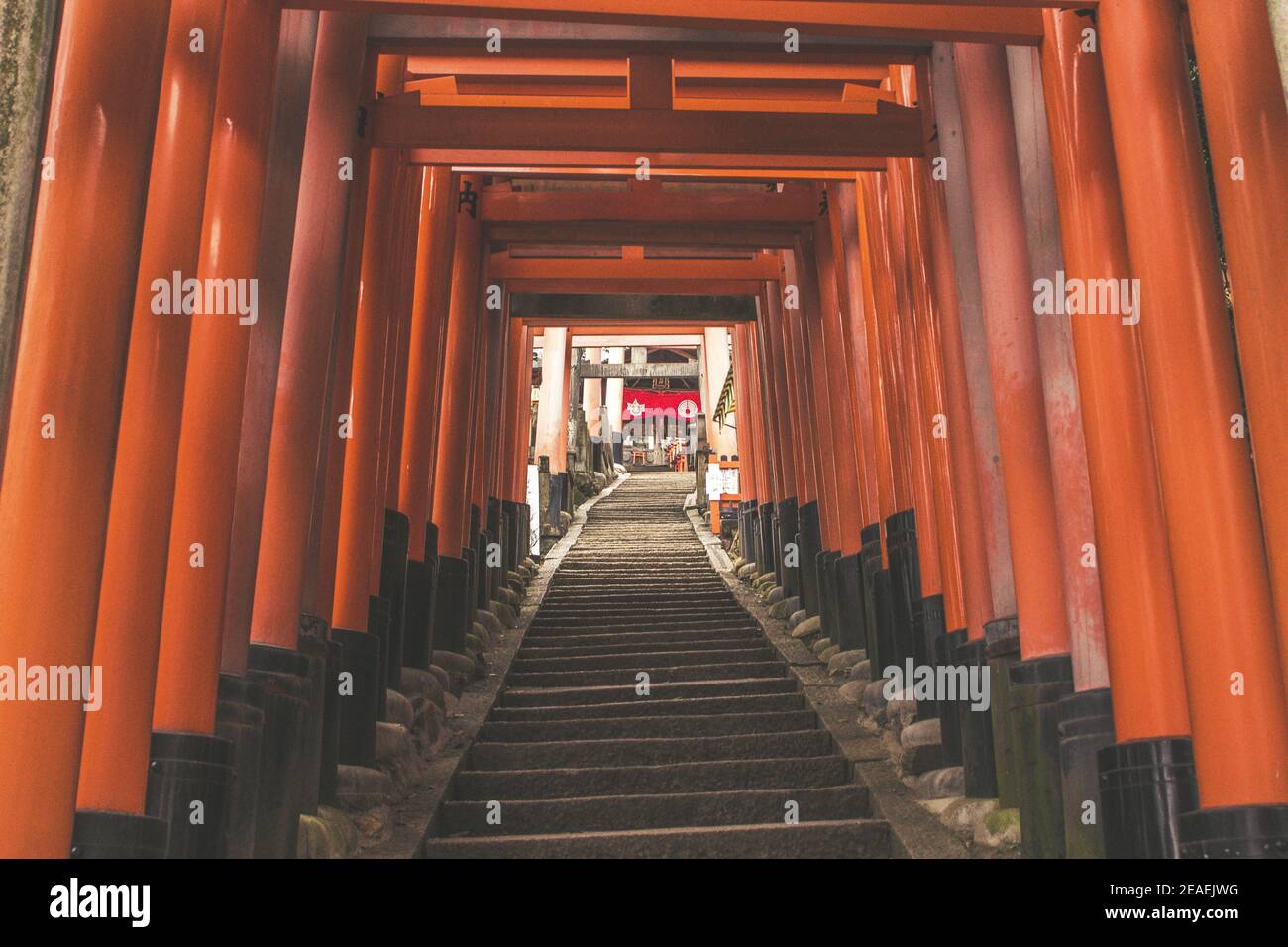Red Torii gates in Fushimi Inari Taisha Shrine in Kyoto, Japan Stock ...